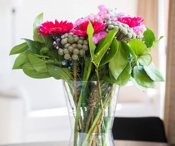 Belcasa Mar & Lofts Aparthotel Middelkerke